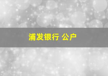 浦发银行 公户